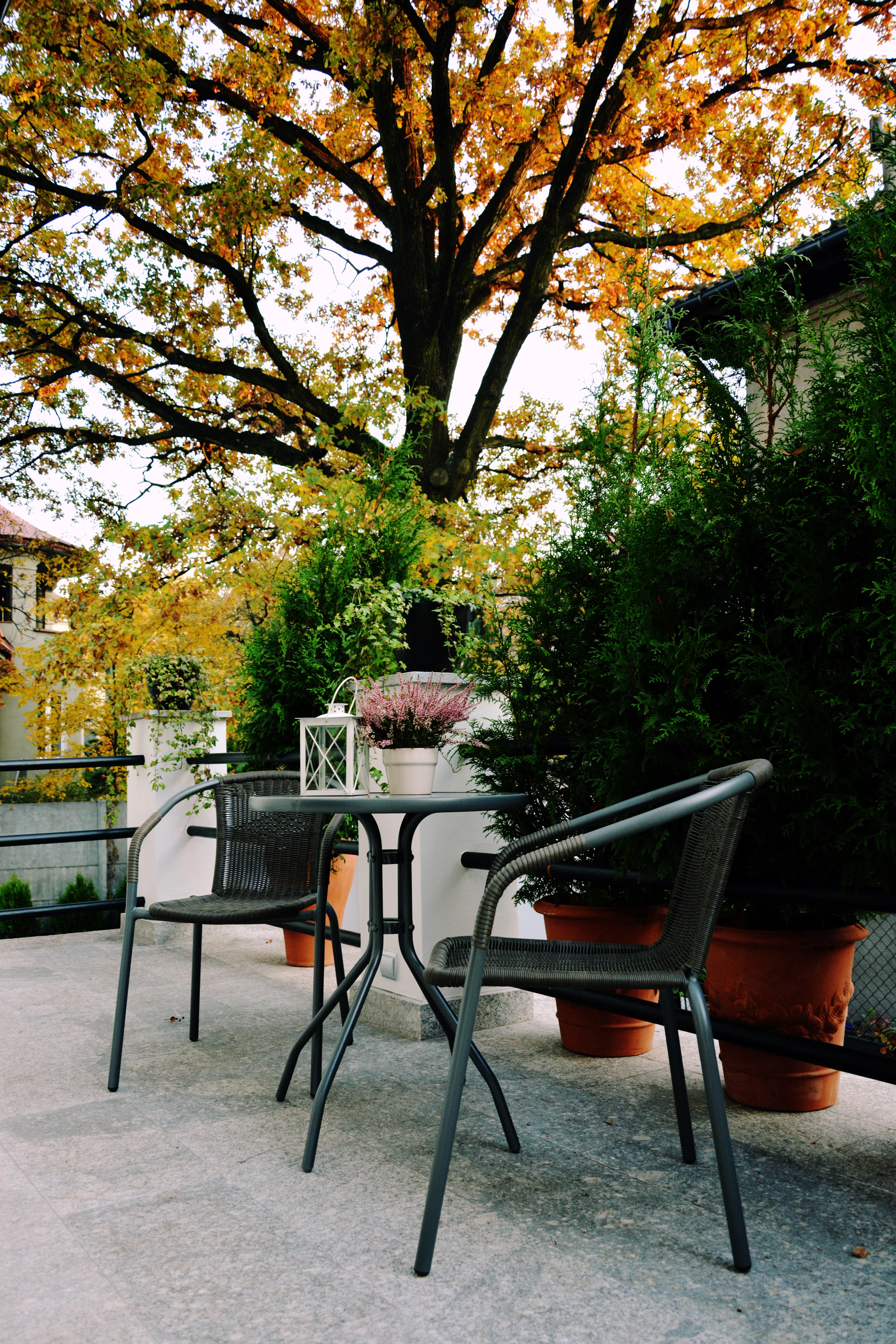 Grottger Luxury Boutique Hotel City Krasków Eksteriør bilde